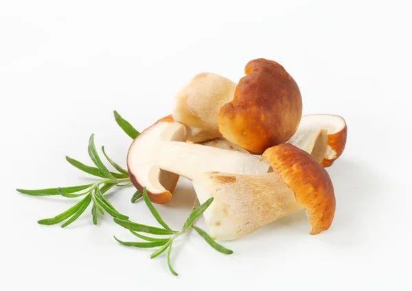 Fresh edible mushroom — Stock Photo, Image