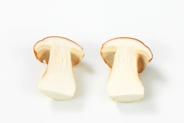 Свежий съедобный гриб — стоковое фото