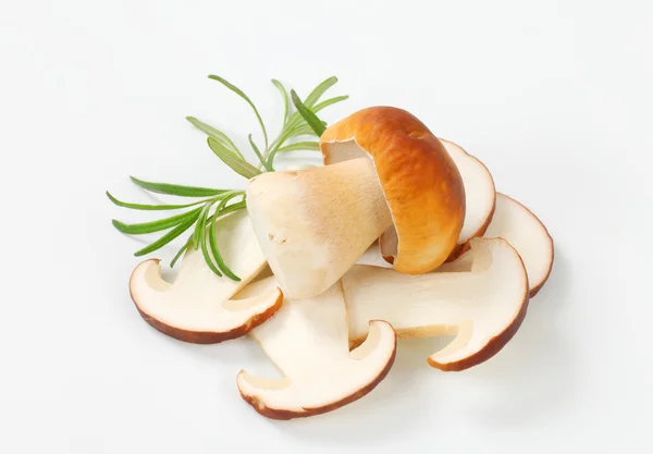 신선한 식용 버섯 — 스톡 사진