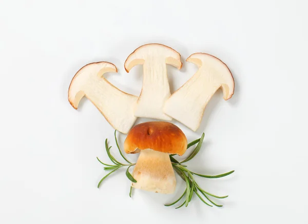 Fresh edible mushrooms — Stock Photo, Image