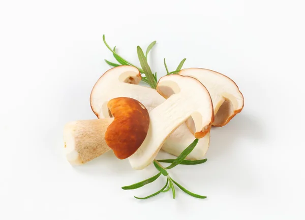 Fresh porcini mushrooms — Stock Photo, Image