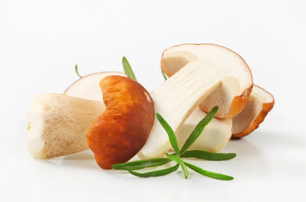 Fresh porcini mushrooms — Stock Photo, Image