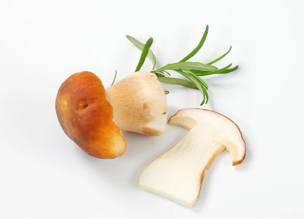 Champignon comestible frais — Photo