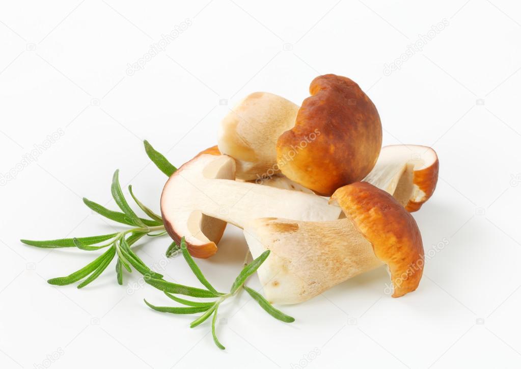Fresh edible mushroom