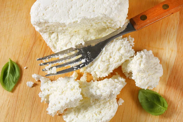 코티지 치즈 — 스톡 사진