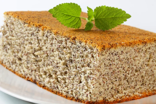 Poppy Seed Cake — Stock Photo, Image