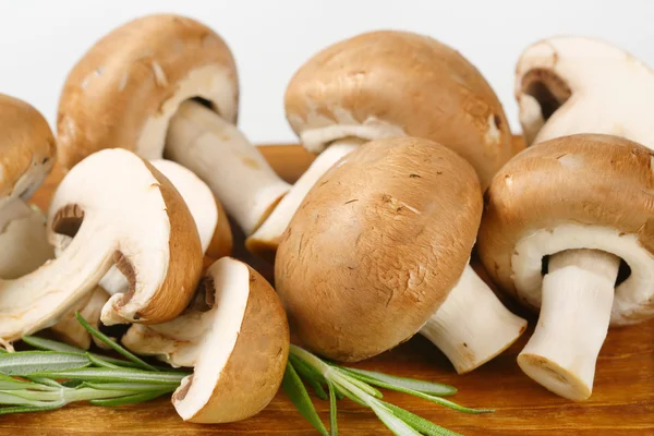 Свежие кремовые грибы — стоковое фото