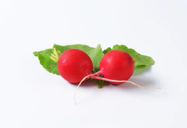 Fresh red radishes — Stock Photo, Image