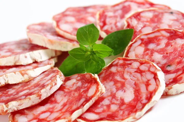 French dry sausage — Stock Photo, Image