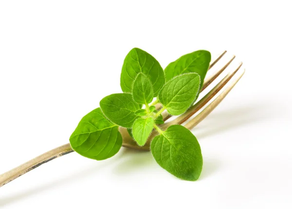 Fresh oregano sprig on fork — Stock Photo, Image