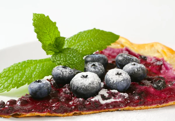 Slice of blueberry tart — Stock Photo, Image