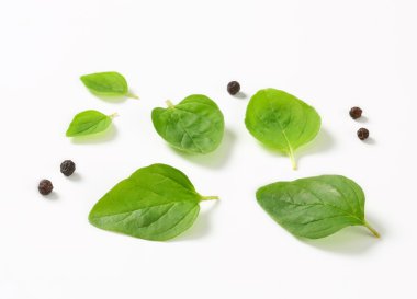 yaprakları taze kekik ve karabiber