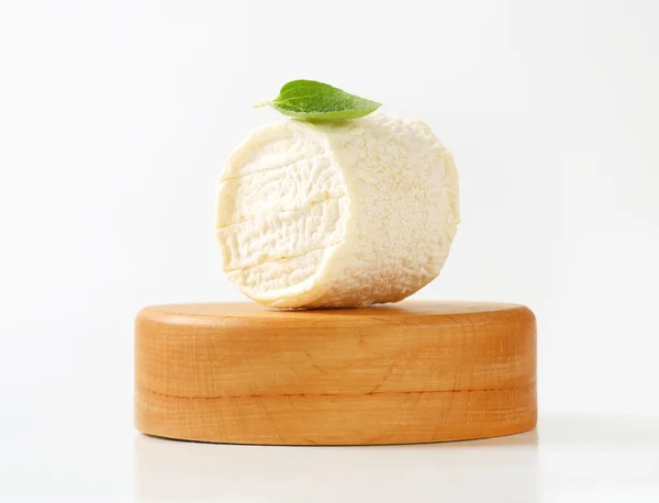 Crottin de chevre kaas — Stockfoto