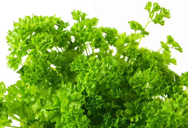 Fresh parsley — Stock Photo, Image