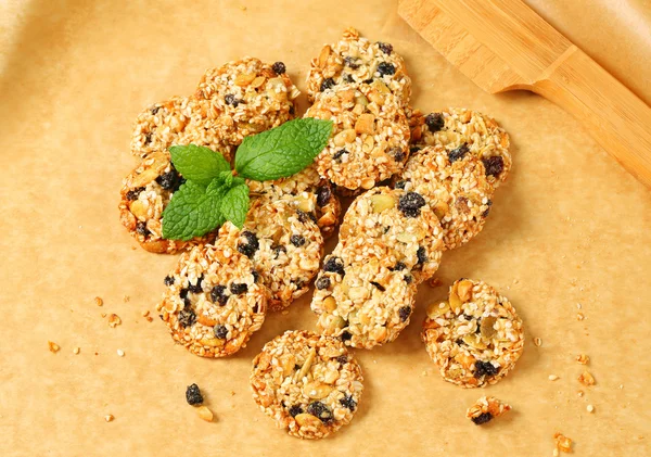 Sesame raisin cookies — Stock Photo, Image