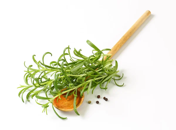 Rosemary, peppercorns and wooden spoon — Stock Photo, Image