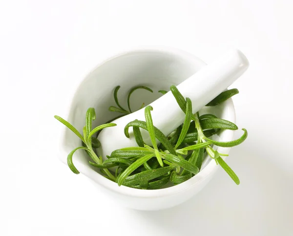 Fresh rosemary in a mortar — Stock Photo, Image