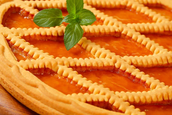 Lattice topped caise crostata — Fotografie, imagine de stoc