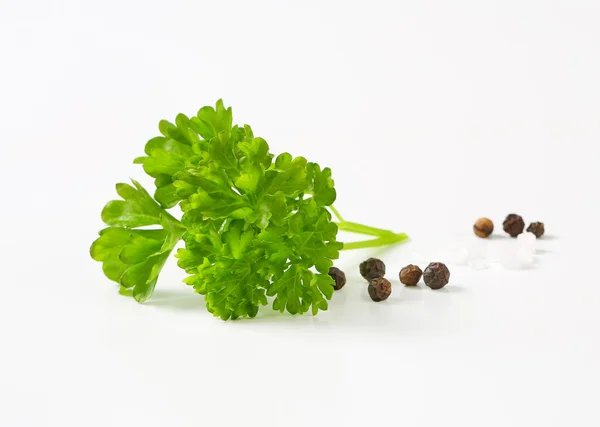 Fresh parsley, black peppercorns and salt — Stock Photo, Image