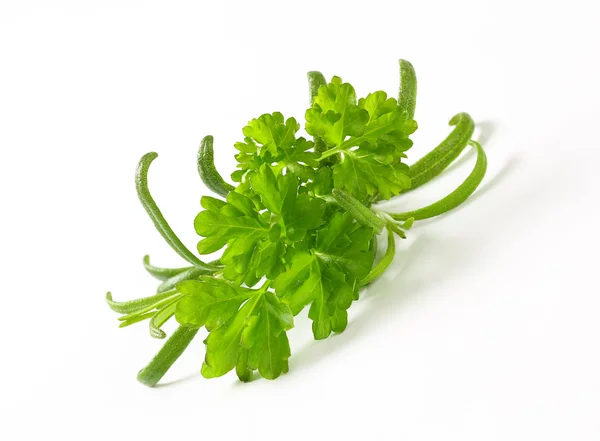 Fresh culinary herbs — Stock Photo, Image