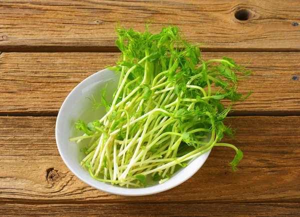 Rebentos de ervilha verde — Fotografia de Stock