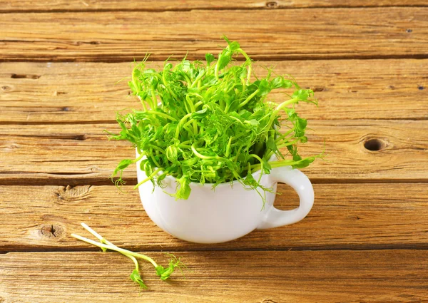 Green pea sprouts — Stock Photo, Image