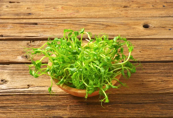 Green pea shoots — Stock Photo, Image