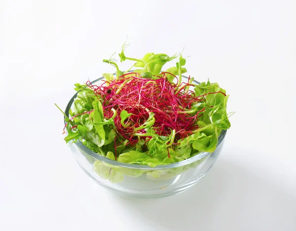 Mixed green salad — Stock Photo, Image
