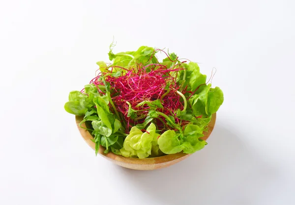 Mixed green salad — Stock Photo, Image