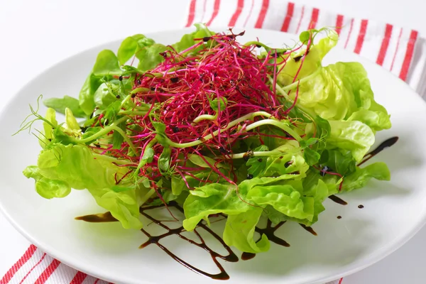 Gemischter grüner Salat — Stockfoto