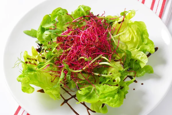 Gemengde groene salade — Stockfoto