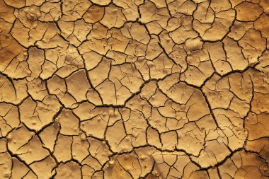 Dry cracked earth clipart