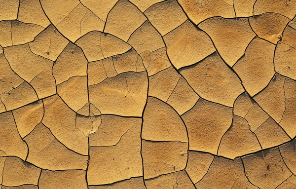 Dry cracked earth — Stock Photo, Image