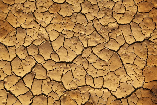 Terra seca rachada — Fotografia de Stock