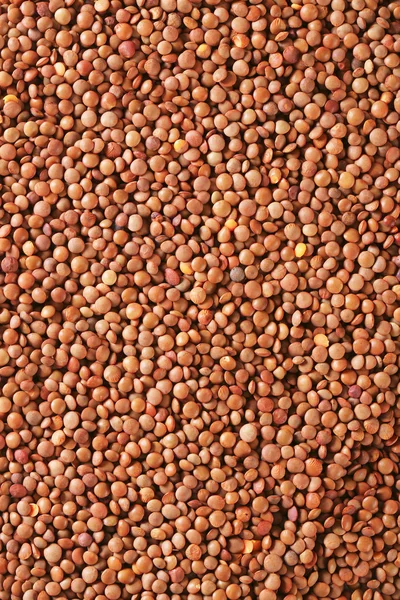 Raw whole red lentils — Stock Photo, Image