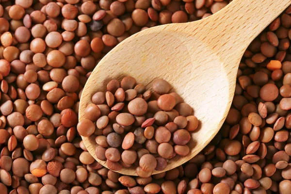 Whole red lentils — Stock Photo, Image