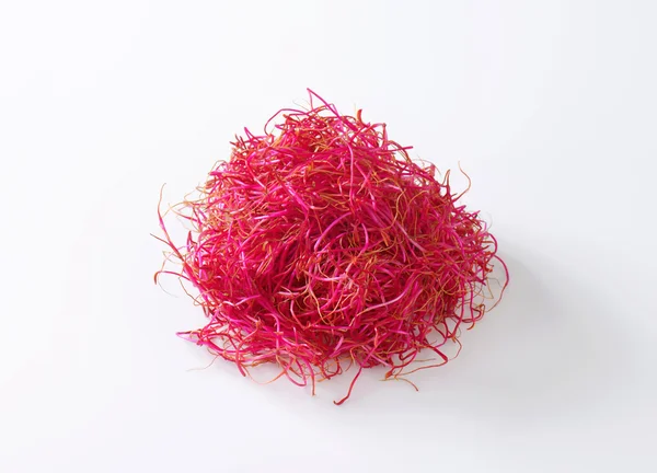 Beetroot sprouts — Stock Photo, Image