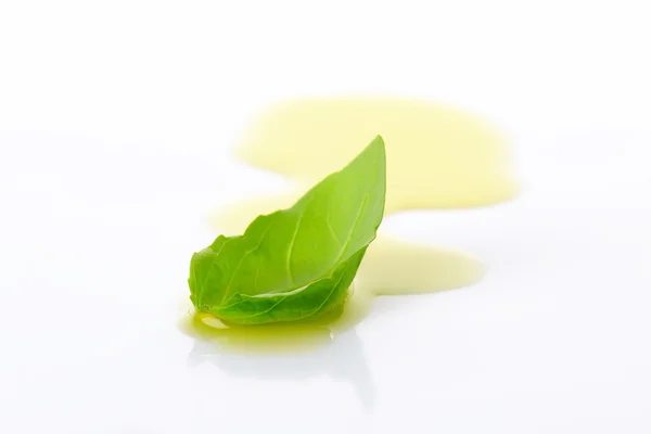Olivový olej mrholení a bazalkou list — Stock fotografie