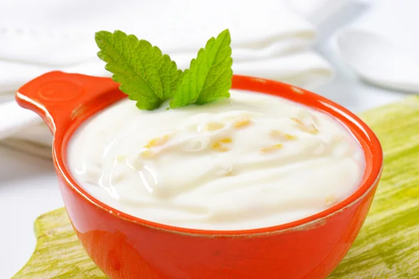 Joghurt gyümölccsel — Stock Fotó