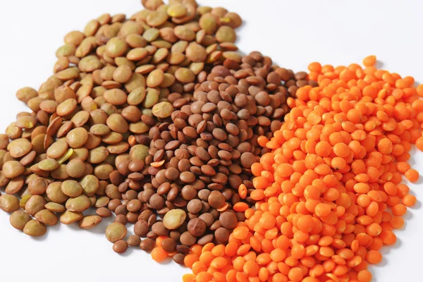 Lentil varieties — Stock Photo, Image