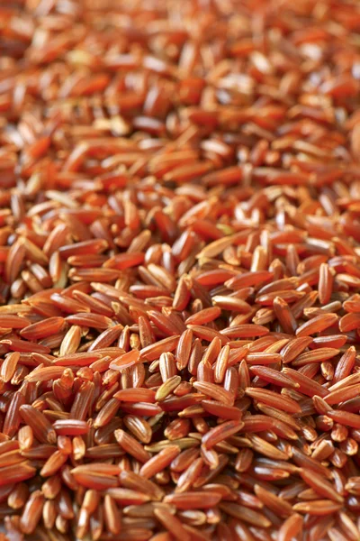 Rýže červená Camargue — Stock fotografie