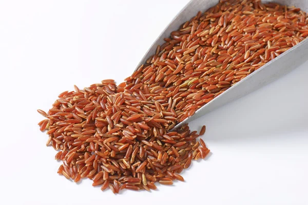Pala de arroz rojo — Foto de Stock