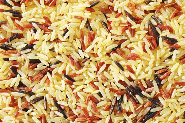 Arroz misto — Fotografia de Stock