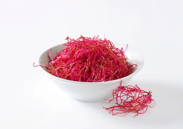 Beetroot sprouts — Stock Photo, Image