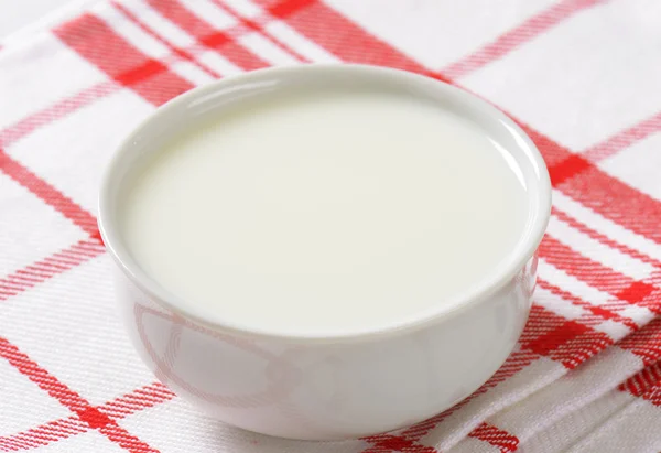 Schüssel mit frischer Milch — Stockfoto