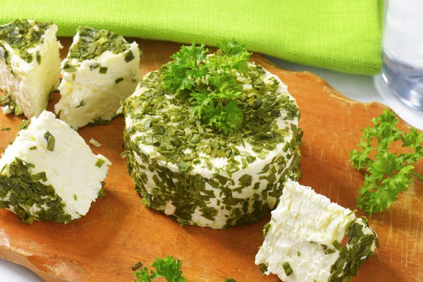 Зелений лук сиру — стокове фото