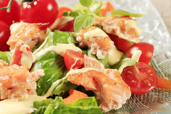 Salmon salad — Stock Photo, Image