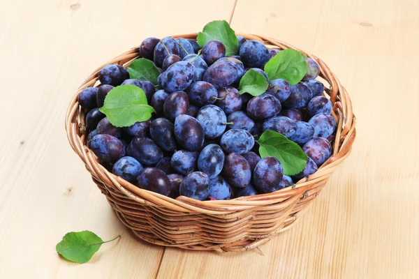 Cesta de ciruelas frescas — Foto de Stock