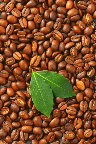 Geröstete Kaffeebohnen — Stockfoto