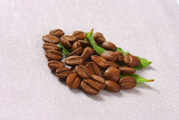 Medium roasted Arabica coffee beans — Stock Photo, Image